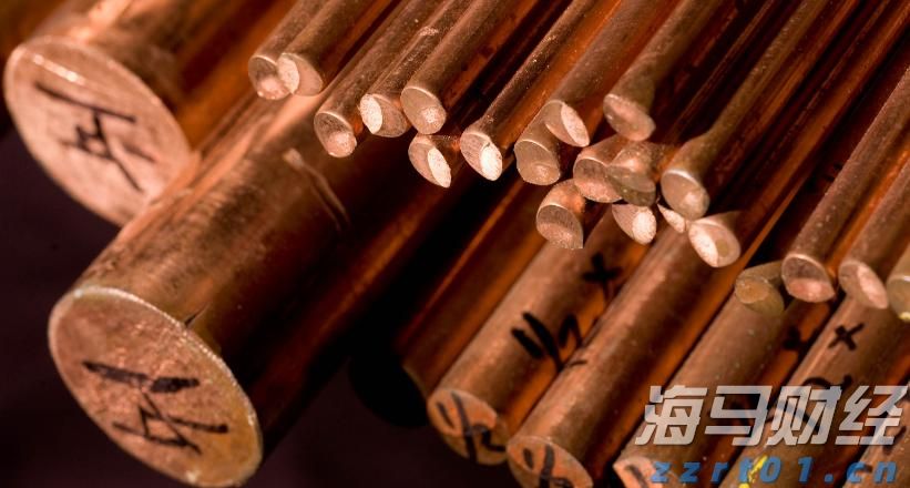 盐碱地种下“致富果”