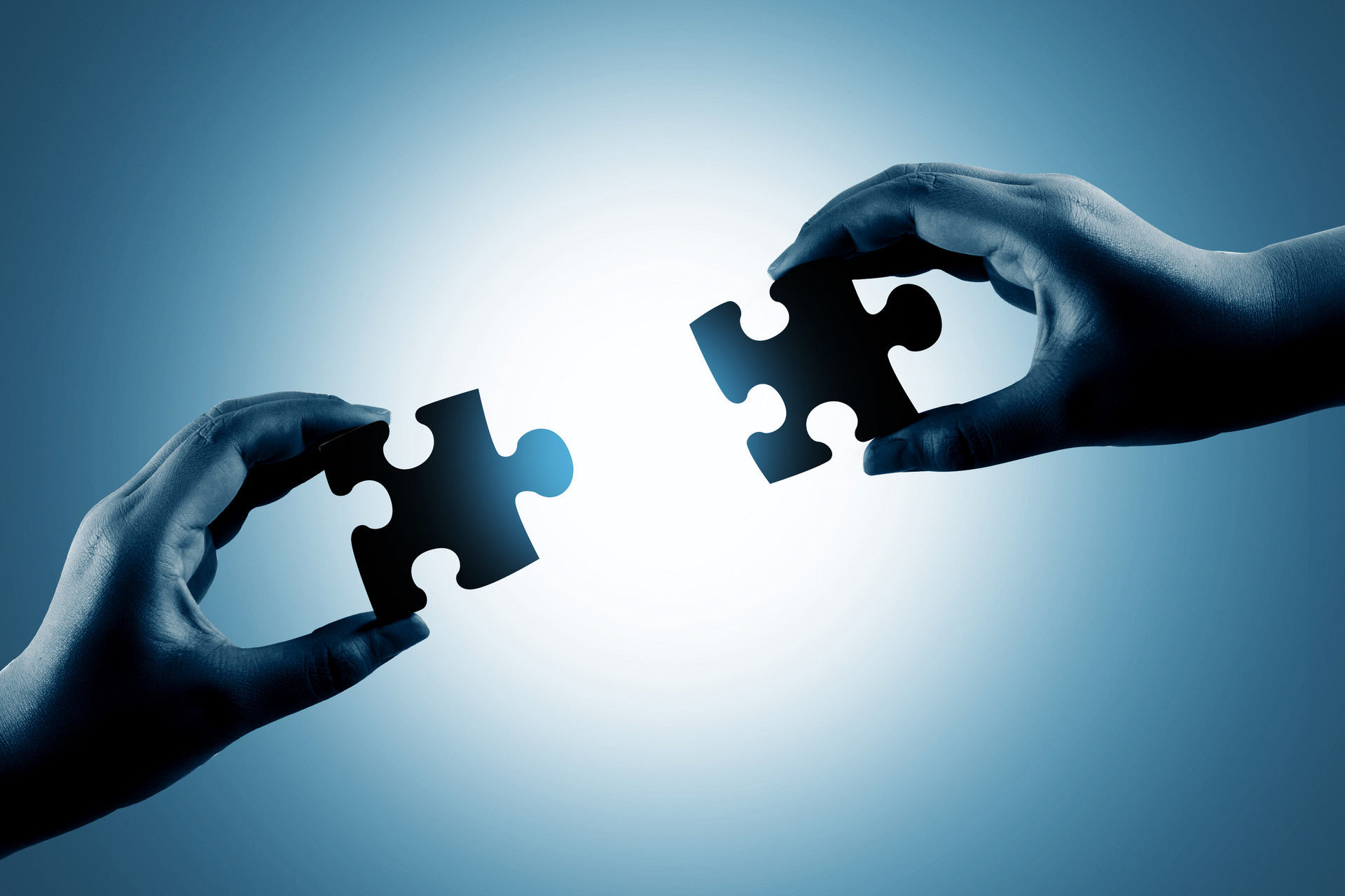 长势良好!梅州今年新建的130公里防火林带完成种植后首次抚育