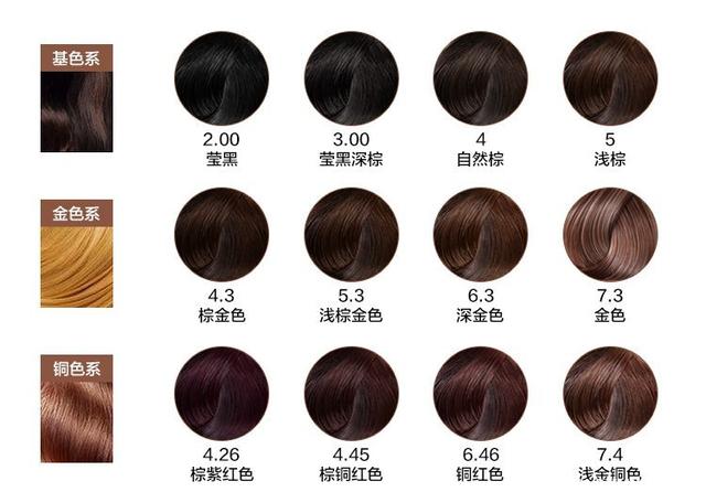 广东高职院校专业组投档线排行榜出炉 协同培养热度走高